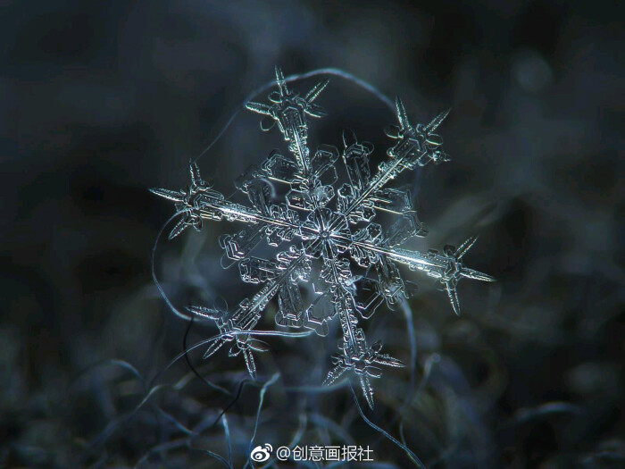雪# #摄影# 摄影师alexey kljatov镜头下的雪花,美妙的结晶结构,见证