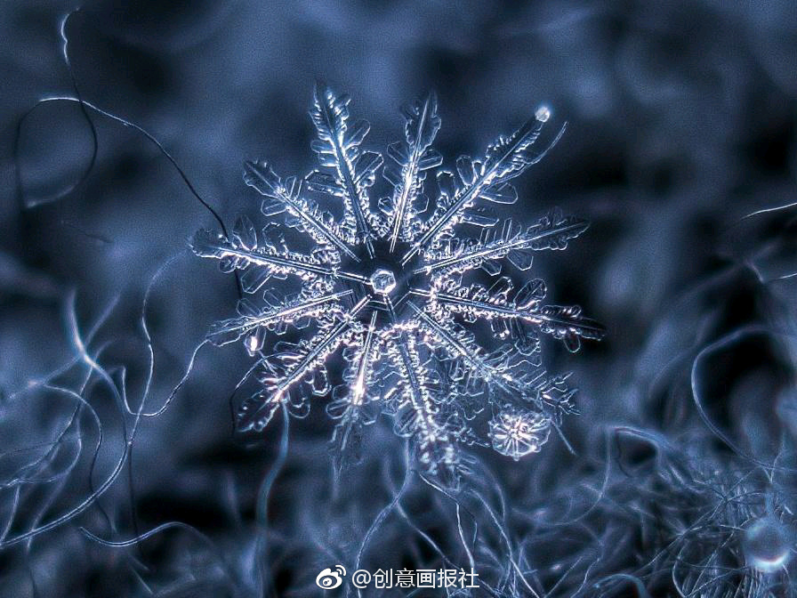 雪# #摄影# 摄影师alexey kljatov镜头下的雪花,美妙的结晶结构,见证