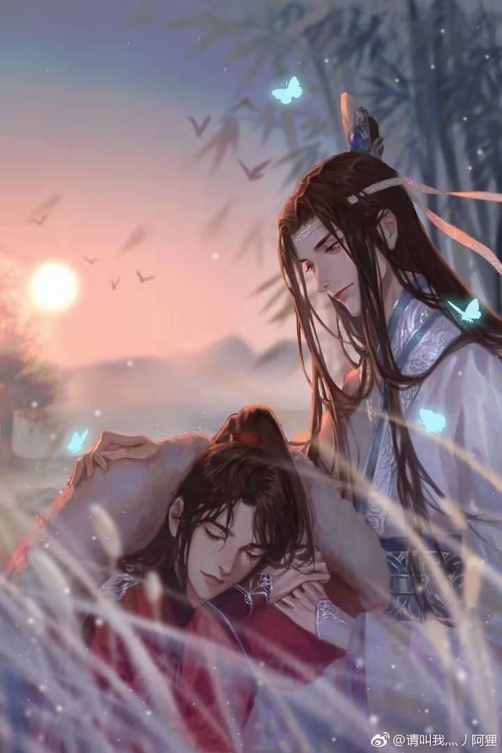 魔道祖师蓝忘机魏无羡忘羡