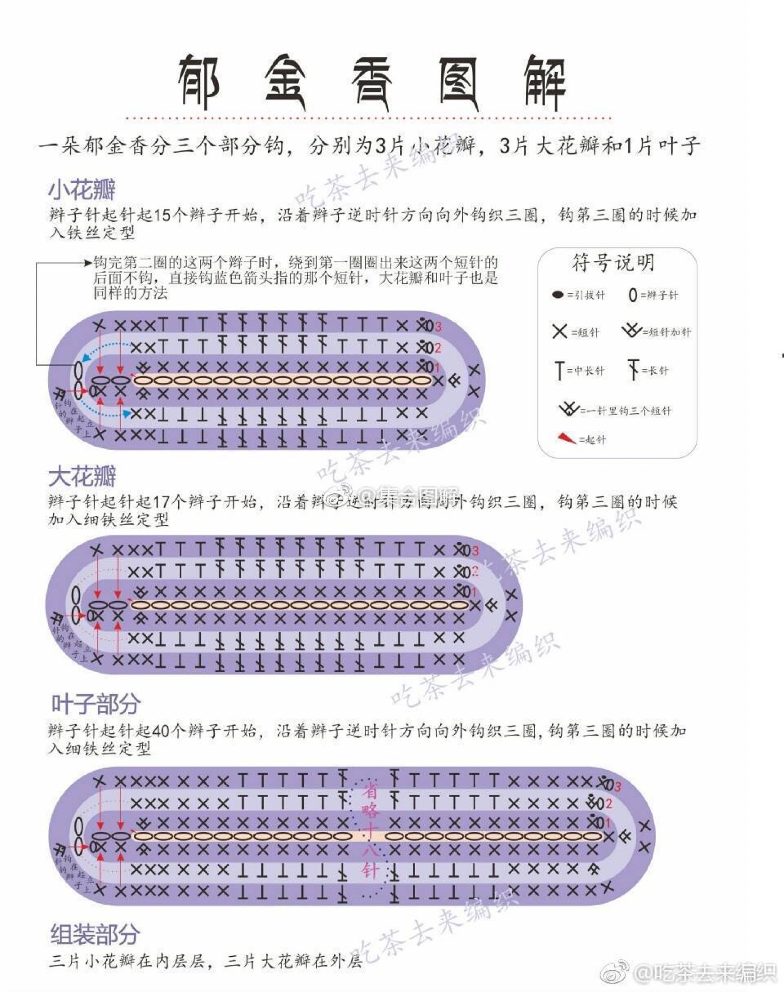 钩针郁金香图解