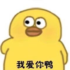 你在干什么鸭