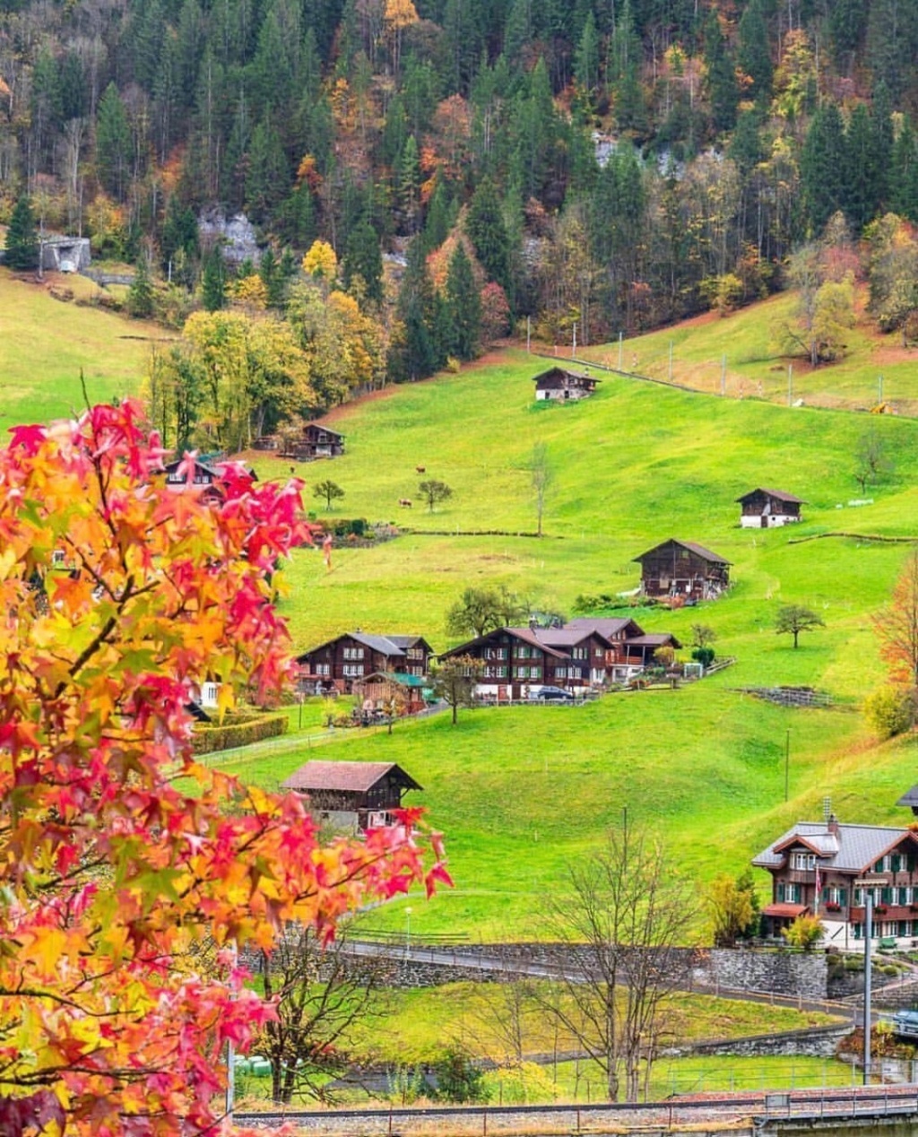 瑞士的秋天,美得像油画一样.