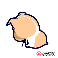 68宠物app微信qq搞笑萌宠物动态表情:what?