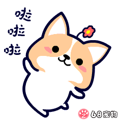 68宠物app微信qq搞笑萌宠物动态表情