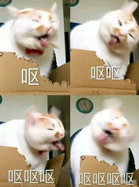 表情包 搞笑 猫 呕