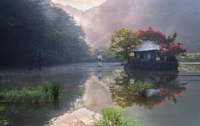 长亭外古道边芳草碧连天67