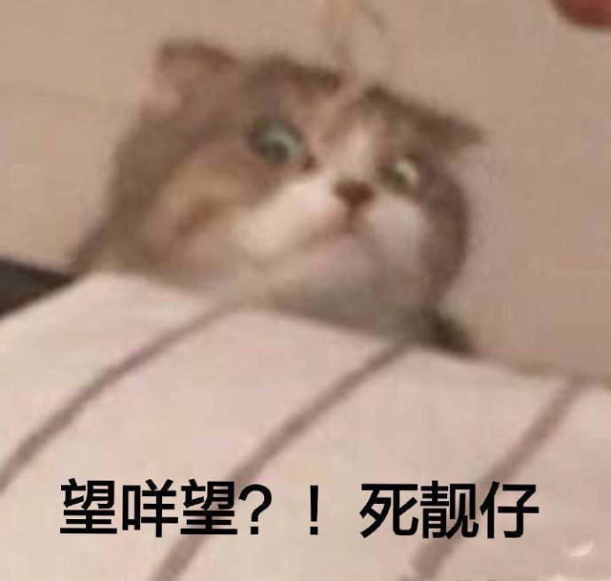 一组沙雕猫猫狗狗表情包