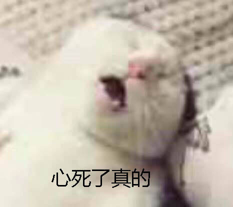 沙雕表情包可爱哈哈哈哈哈