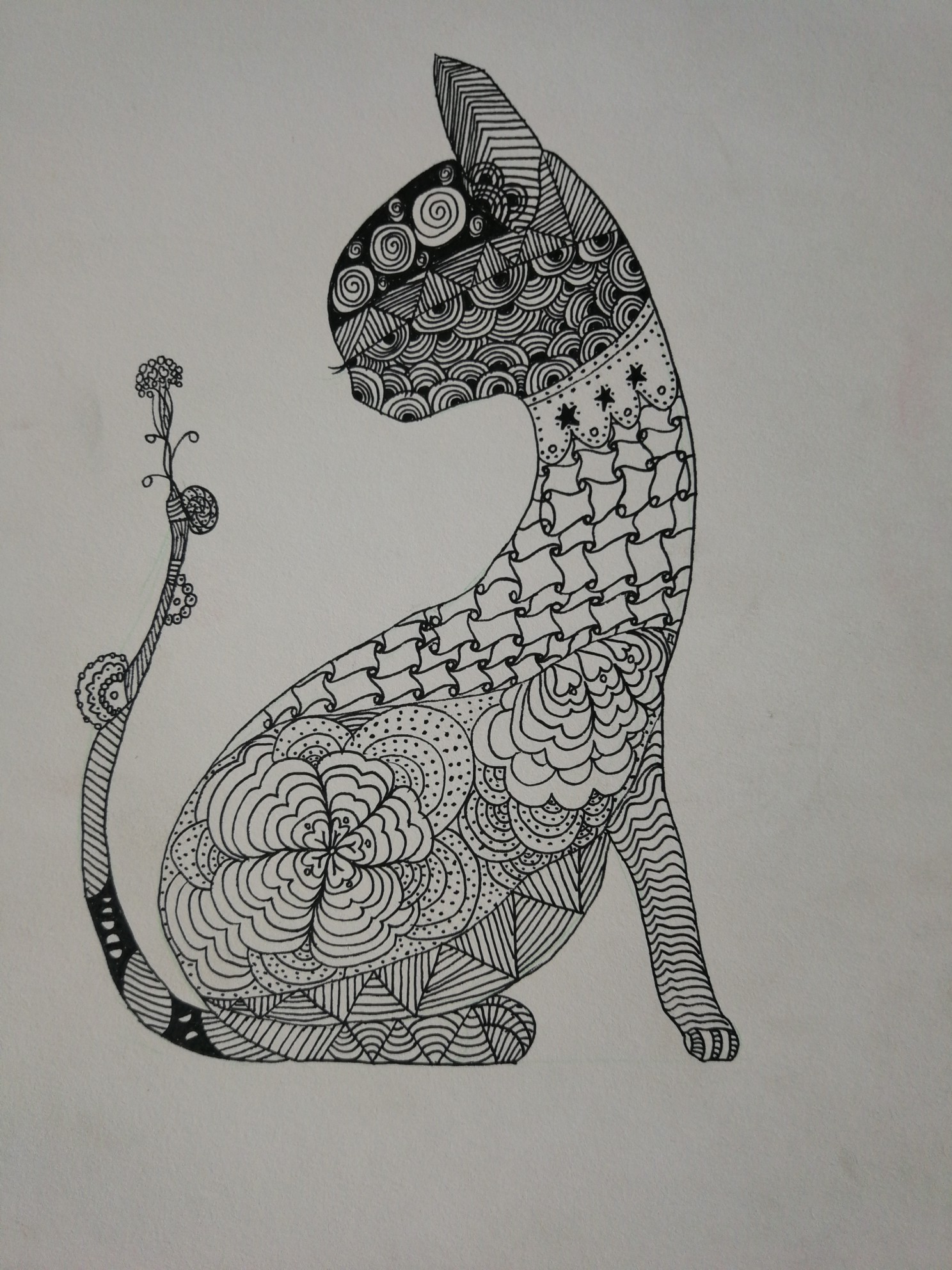 缠绕画,猫猫咪呀