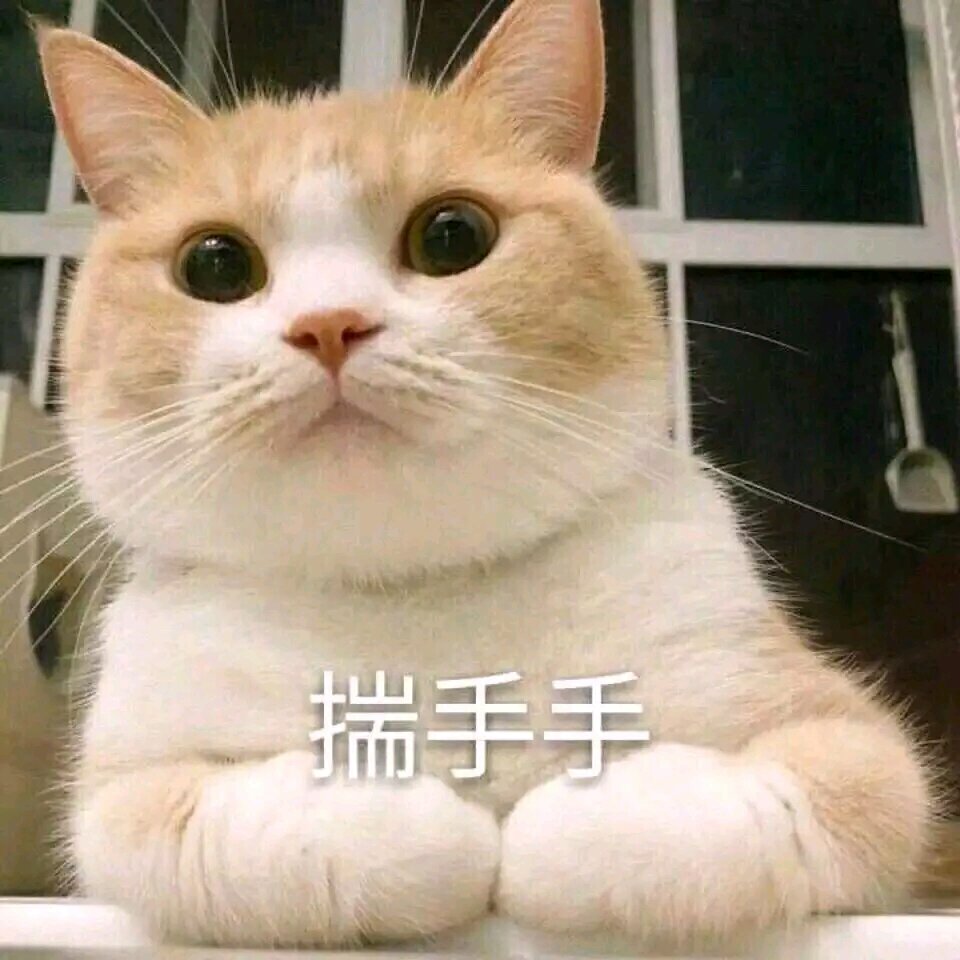 是表情包耶