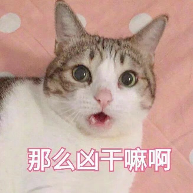 猫咪表情包 是你的表情包 可爱