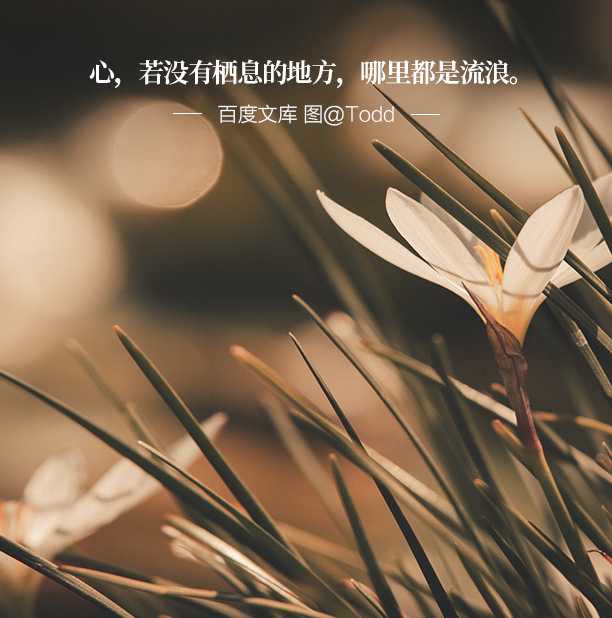 17 心,若没有栖息的地方,到哪里都是流浪.*转自百度文库 侵删