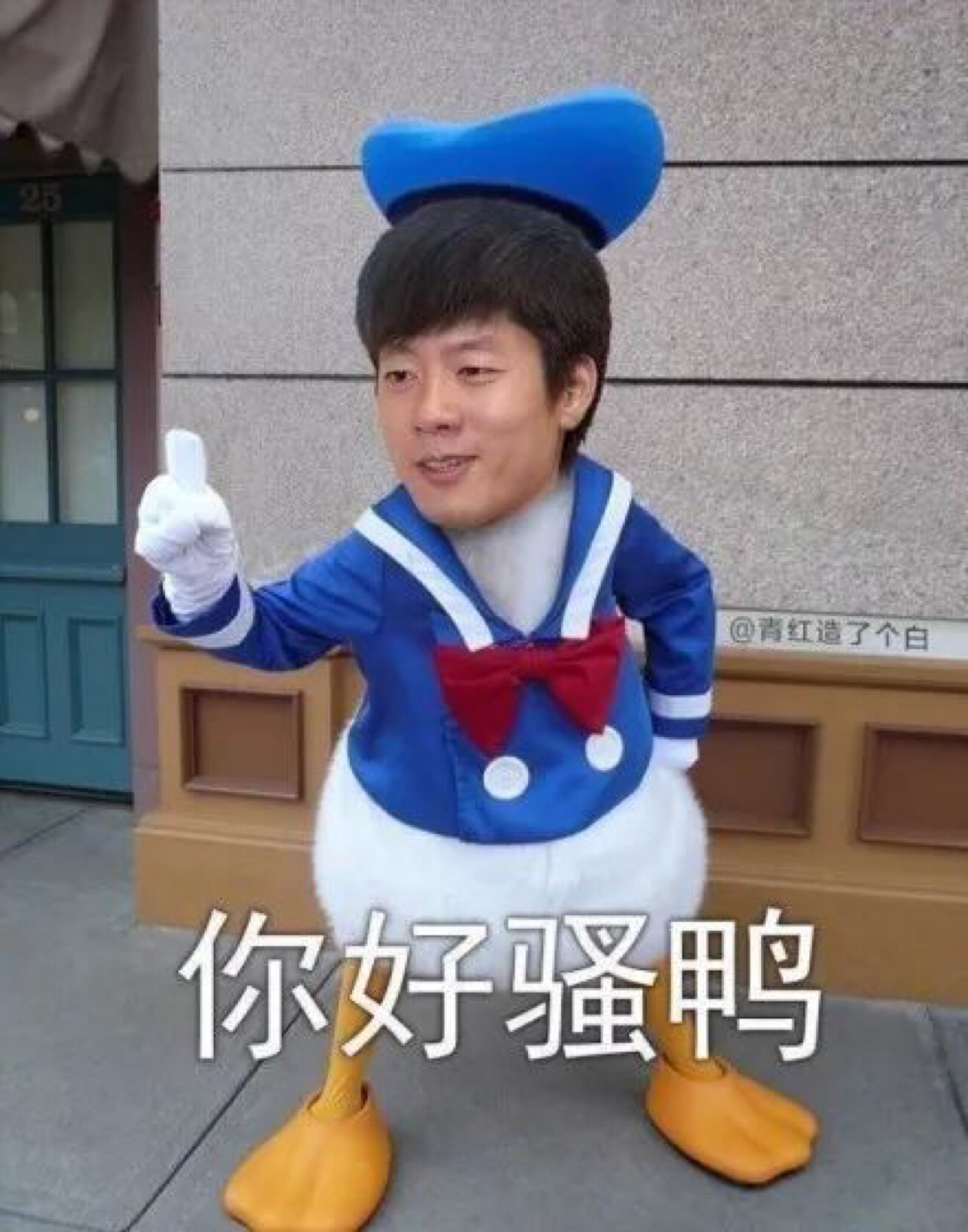 古德拜 你好骚鸭