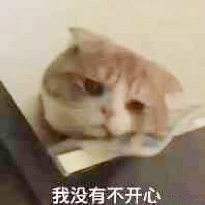 一组猫猫哭哭表情包