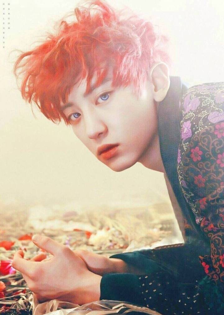 朴灿烈chanyeol 红发壁纸 exo