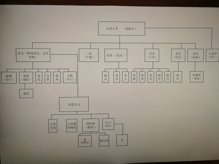 家春秋高家族谱