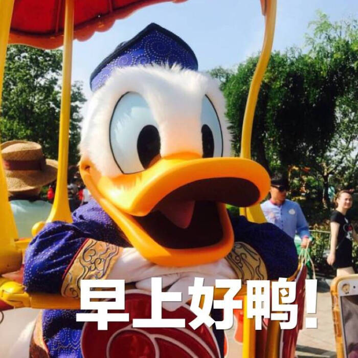 唐老鸭表情包