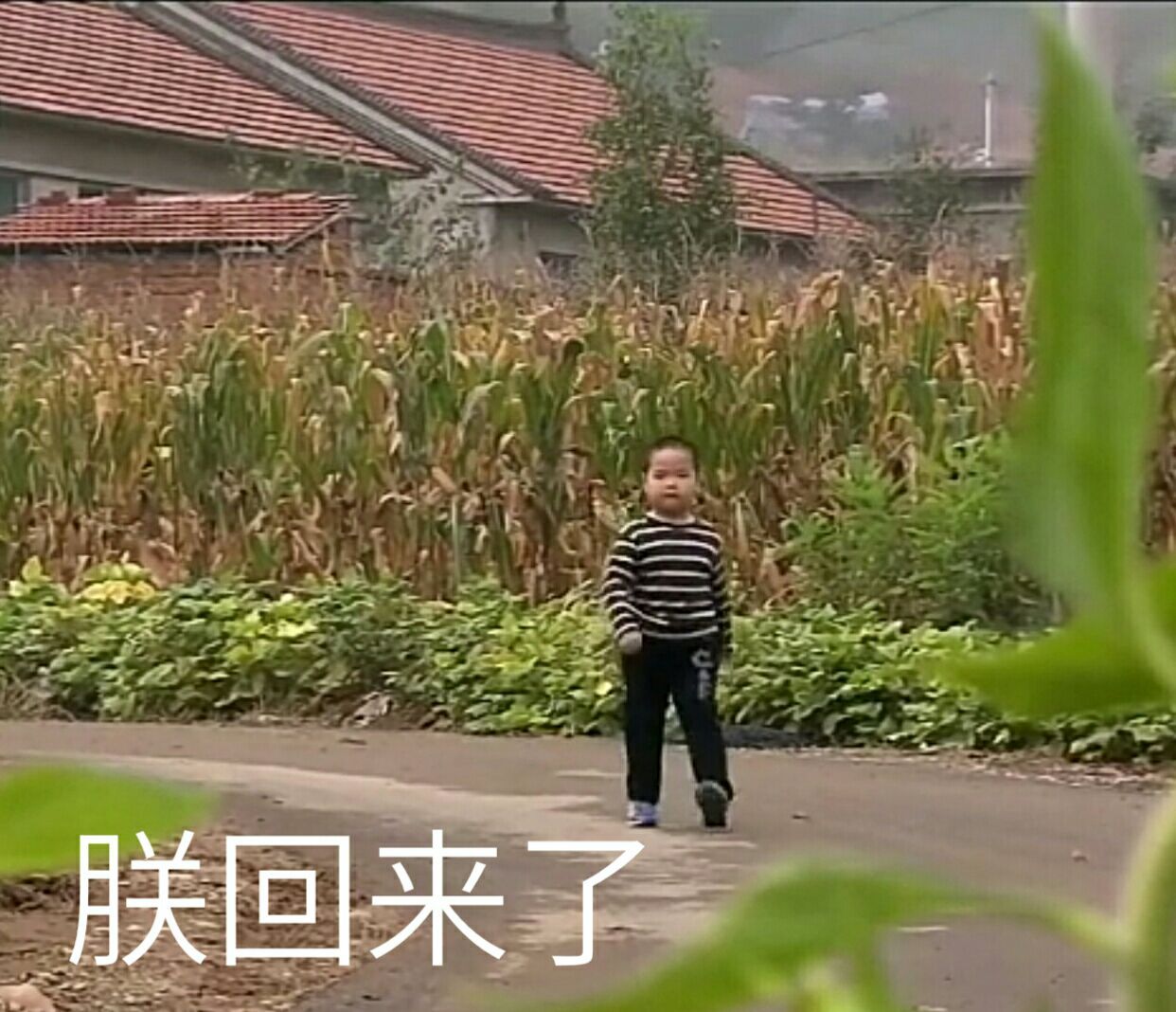谢腾飞谢飞机