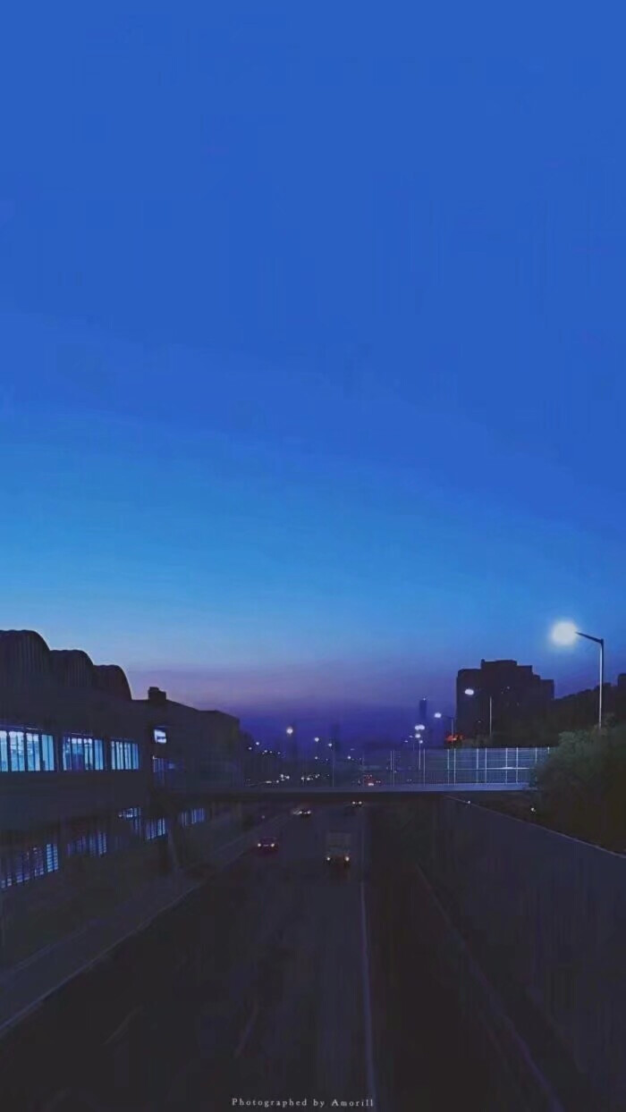 壁纸 风景 植物 夜景 意境