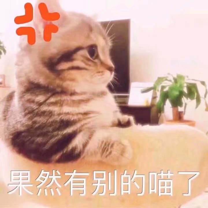 来一波可爱的猫咪表情包!