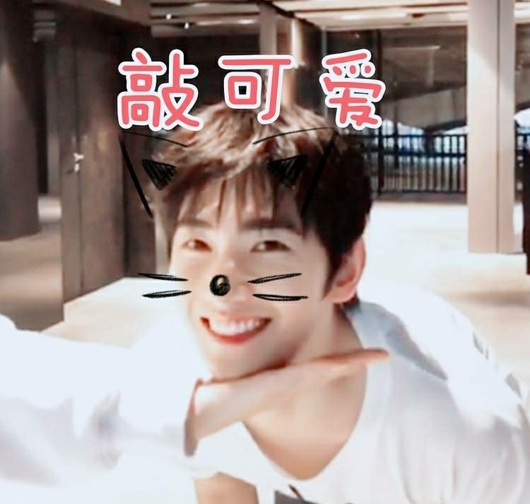 杨洋 表情包