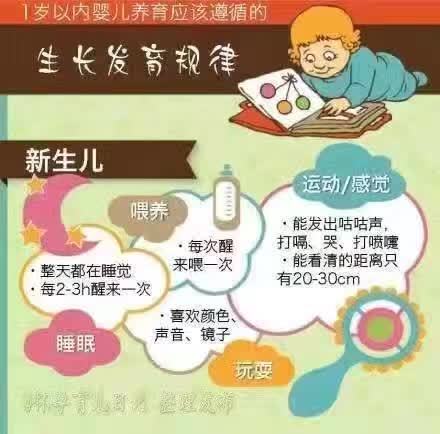 发育周期 堆糖网