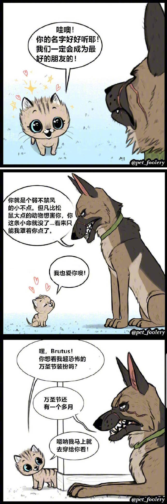 高大威猛的退役军犬 x 天真软萌的小猫咪,这反差的画风莫名有点带感呀