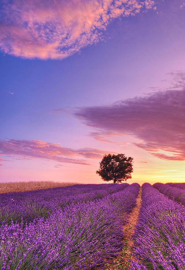 走自己的路,看自己的风景,这就是人生.