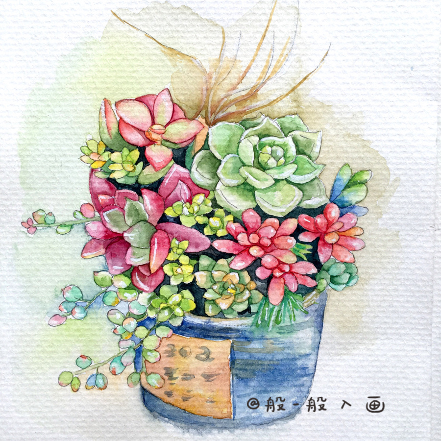 多肉植物水彩手绘