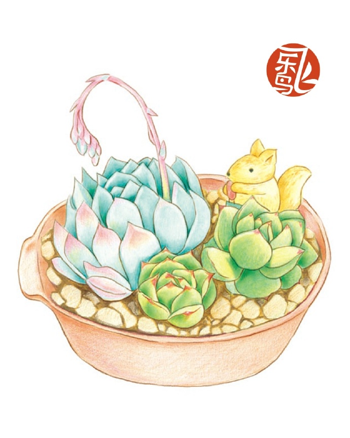 色铅多肉
