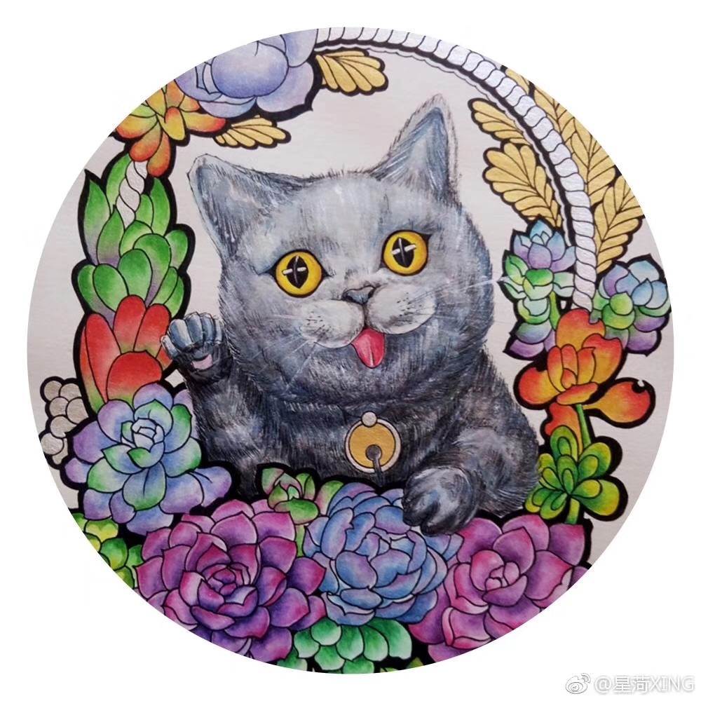 狗猫 萌宠 宠物 线描 多肉 彩铅 水彩