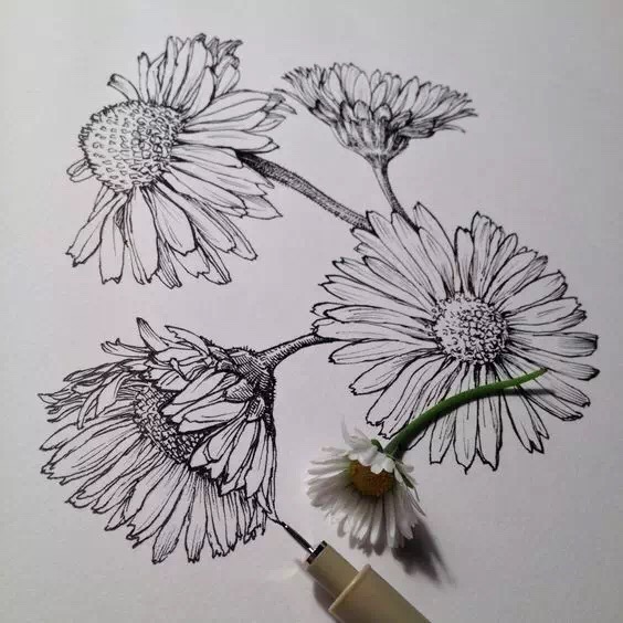 创意 装饰画 水彩笔 彩色 黑白 花瓶 写生 速写 花卉 树叶 植物 枝条