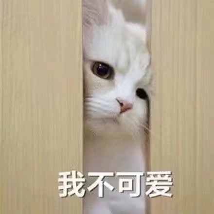 猫咪狗狗老鼠鸭子表情包可爱蠢萌套路小表情大表情打电话表情包小猪