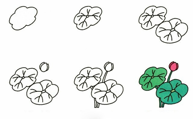 9种植物简笔画小教程一组,马住学
