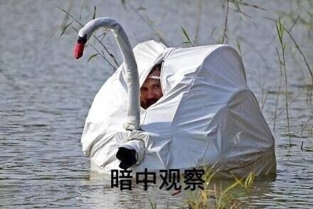 世界上最危险的工作之一:国家地理杂志摄影师【转】