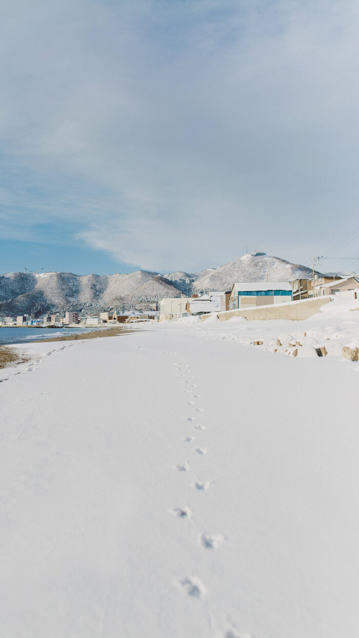 壁纸 冬雪