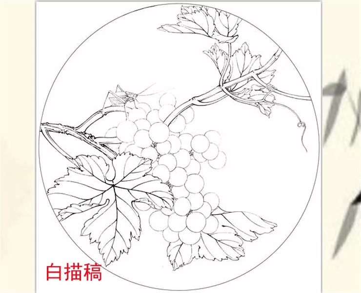 工笔白描稿