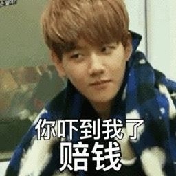 exo表情包
