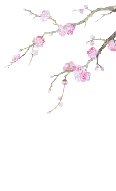 素材免抠