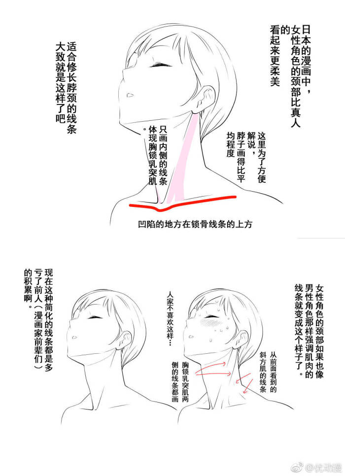 脖子画法教程