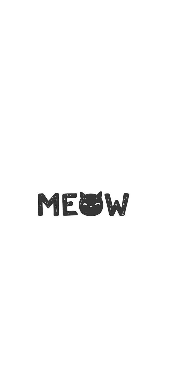 白底 猫咪