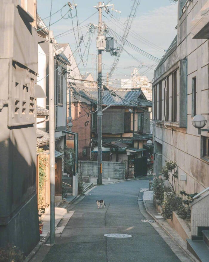 京都街景,干净得像是漫画里一样.[给你小心心] ins:maczoo