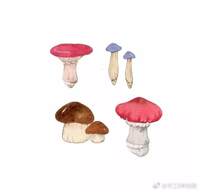 简笔画磨菇