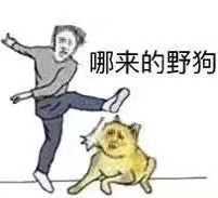 各类文字表情包/搞笑