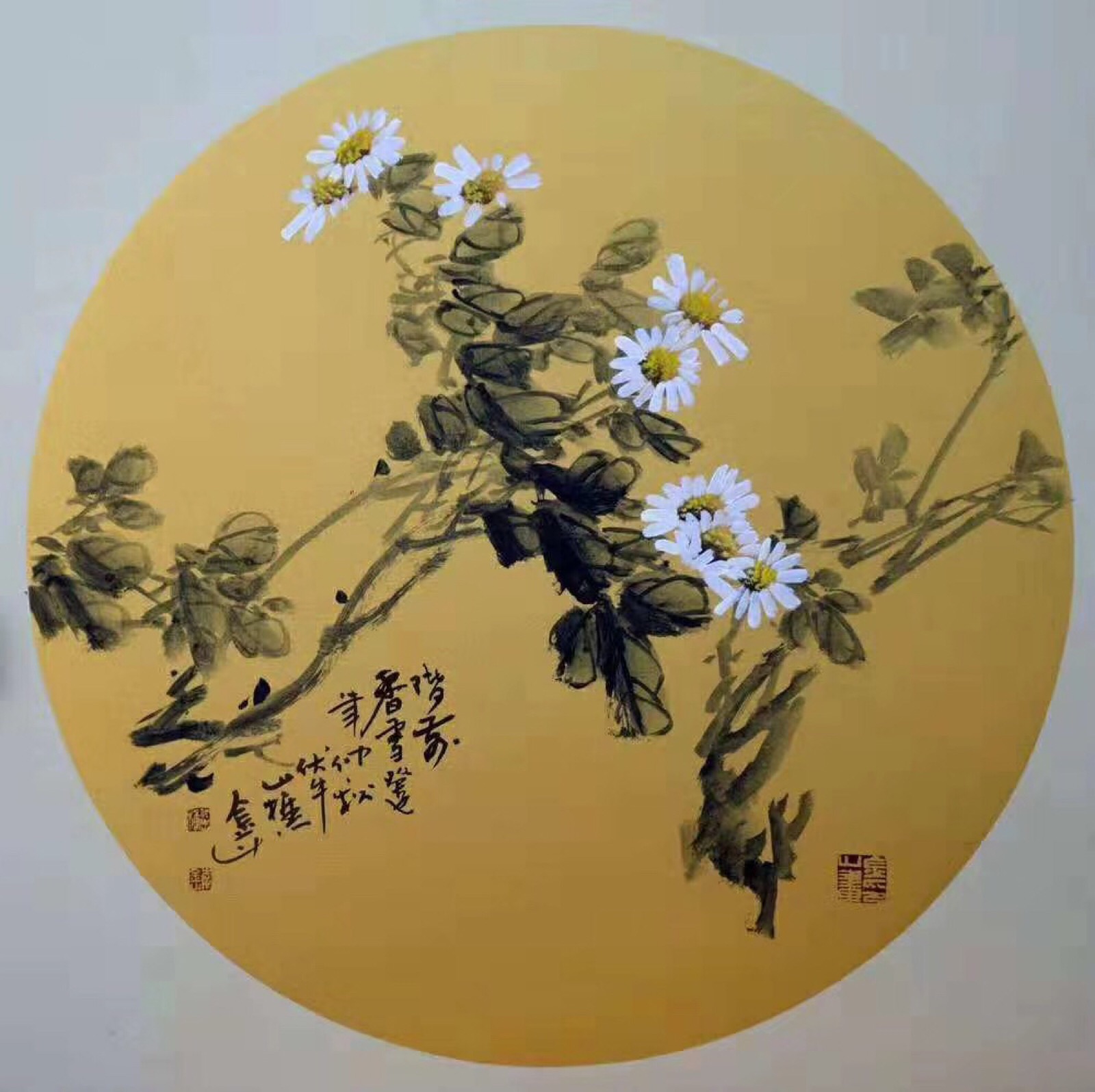 小雏菊