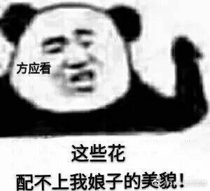 遇见逆水寒表情包get√【逆水寒】