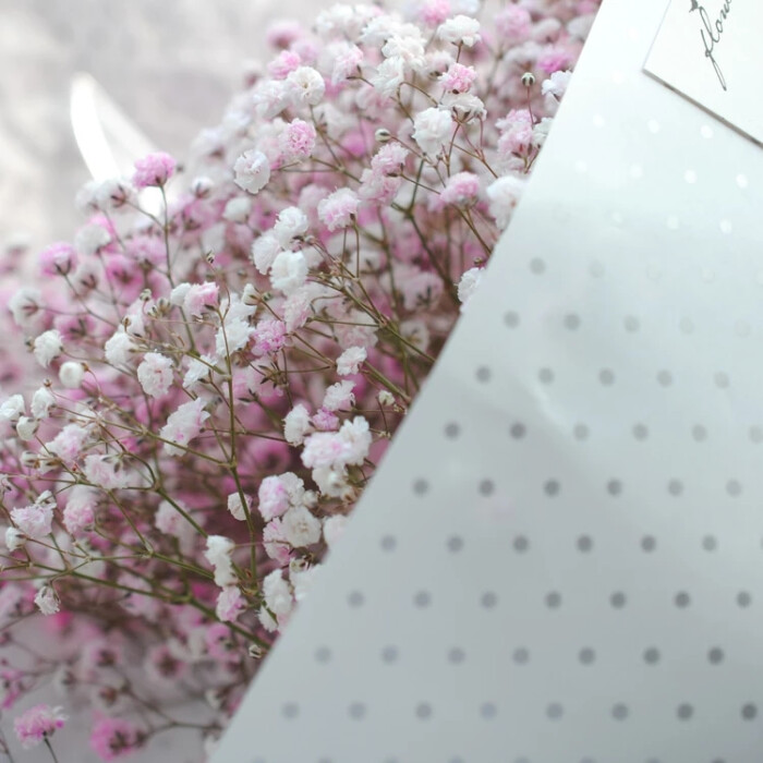 植物图书馆全国杭州鲜花速递粉色满天星情人节