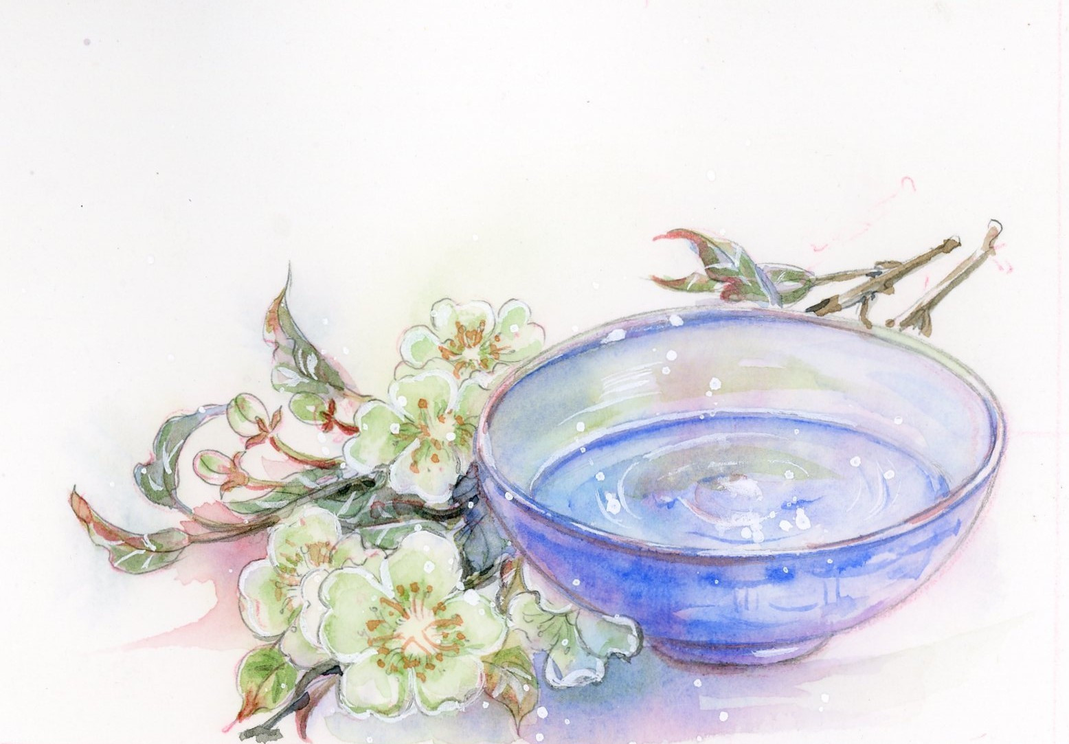 【古风水彩】#古风静物# 作者:二妃m