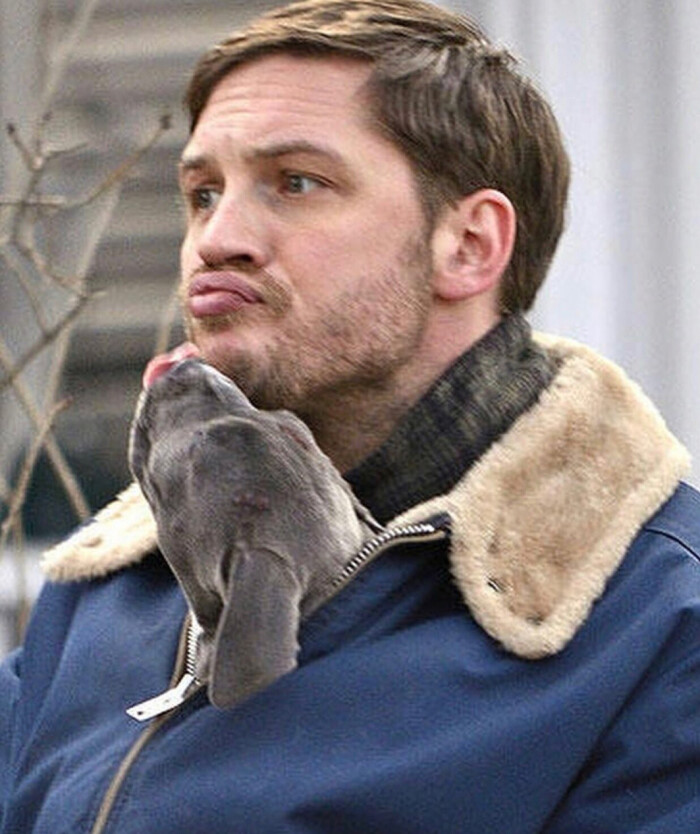 tom hardy 汤姆哈迪 汤甜