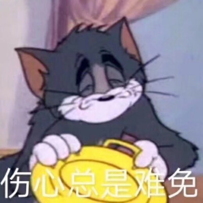 表情包